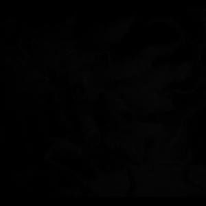 Meet your Posher, Uriel